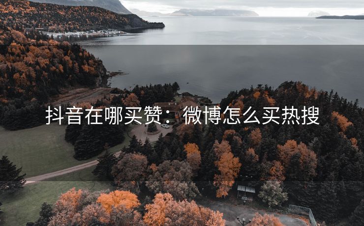 抖音在哪买赞：微博怎么买热搜