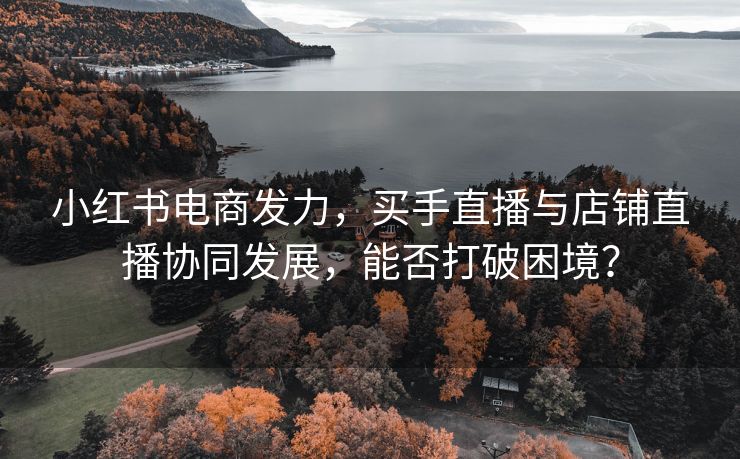 小红书电商发力，买手直播与店铺直播协同发展，能否打破困境？