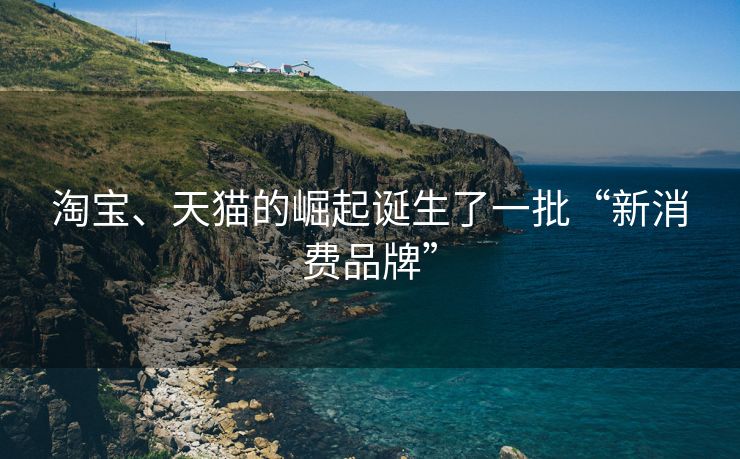 淘宝、天猫的崛起诞生了一批“新消费品牌”