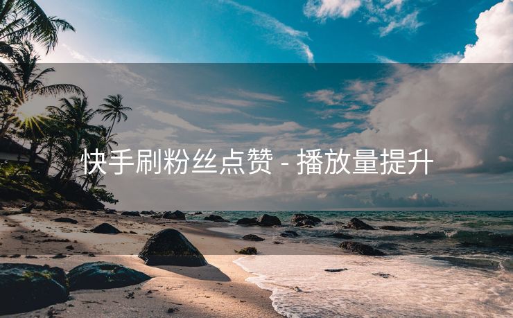 快手刷粉丝点赞 - 播放量提升