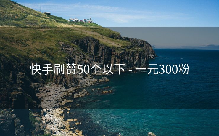 快手刷赞50个以下 - 一元300粉
