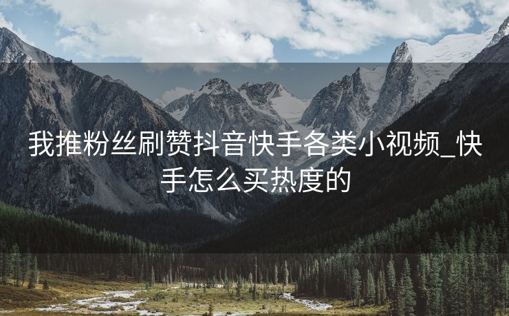 我推粉丝刷赞抖音快手各类小视频_快手怎么买热度的