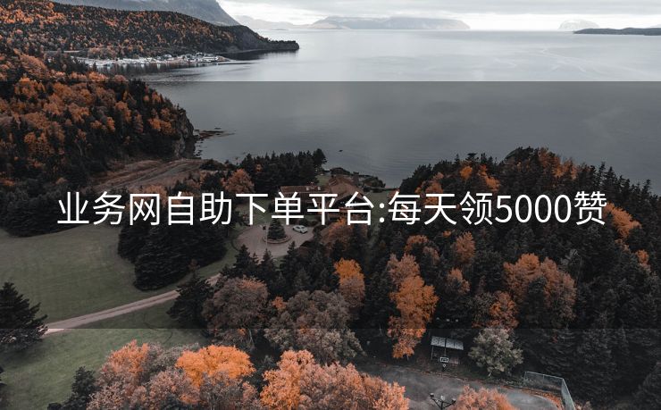 业务网自助下单平台:每天领5000赞