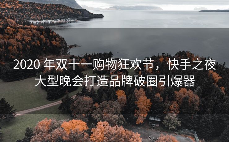 2020 年双十一购物狂欢节，快手之夜大型晚会打造品牌破圈引爆器