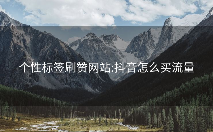 个性标签刷赞网站:抖音怎么买流量