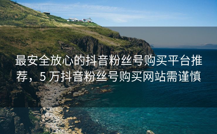 最安全放心的抖音粉丝号购买平台推荐，5 万抖音粉丝号购买网站需谨慎