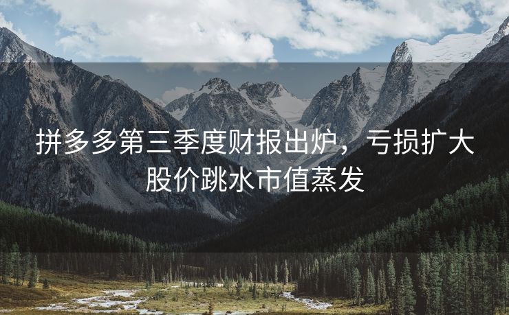 拼多多第三季度财报出炉，亏损扩大股价跳水市值蒸发