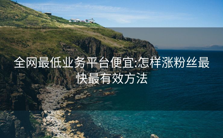 全网最低业务平台便宜:怎样涨粉丝最快最有效方法
