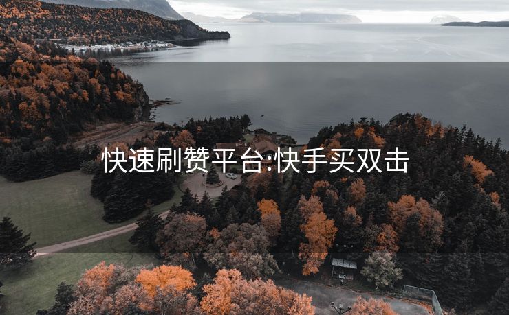 快速刷赞平台:快手买双击