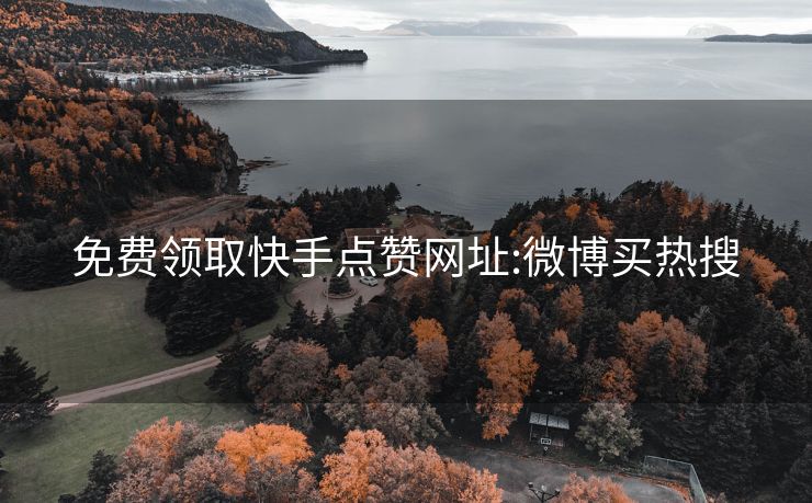 免费领取快手点赞网址:微博买热搜