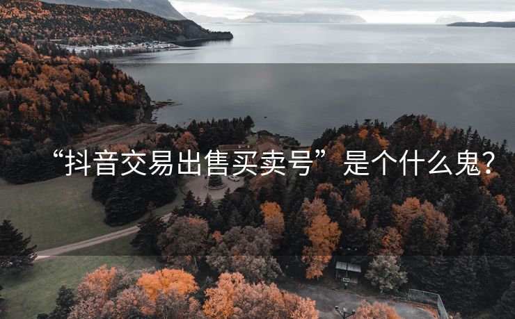 “抖音交易出售买卖号”是个什么鬼？