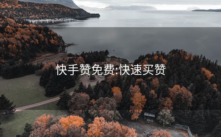 快手赞免费:快速买赞