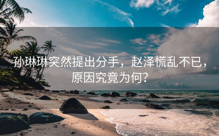 孙琳琳突然提出分手，赵泽慌乱不已，原因究竟为何？