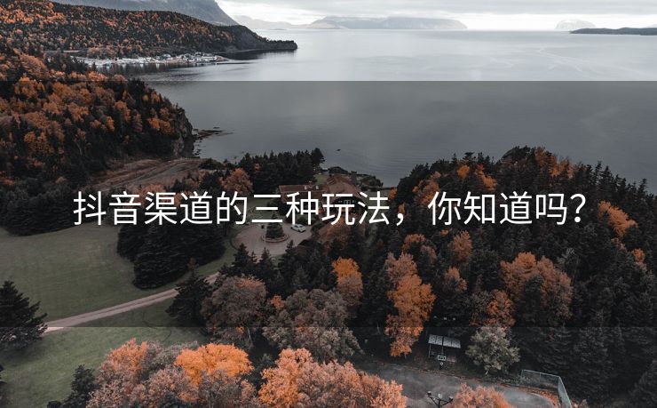 抖音渠道的三种玩法，你知道吗？