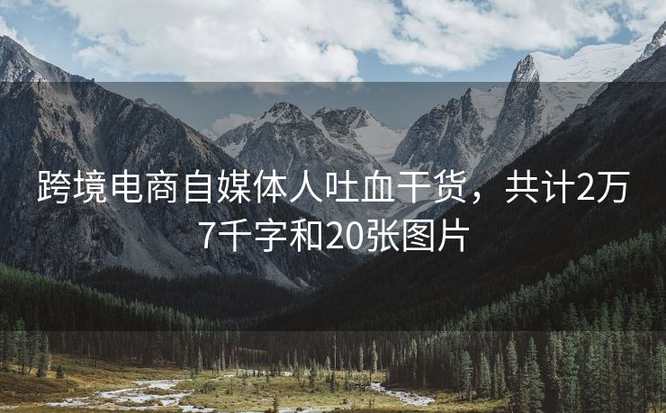跨境电商自媒体人吐血干货，共计2万7千字和20张图片