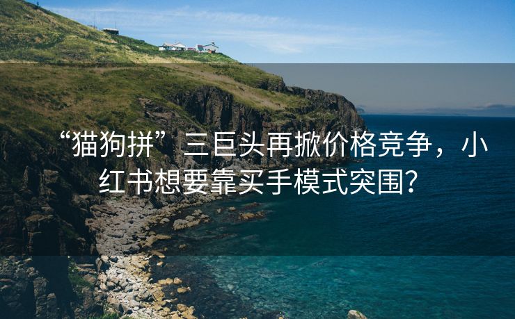 “猫狗拼”三巨头再掀价格竞争，小红书想要靠买手模式突围？