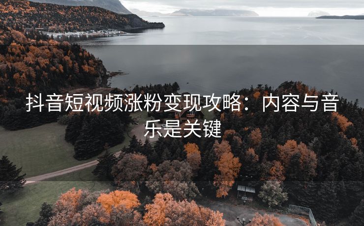 抖音短视频涨粉变现攻略：内容与音乐是关键