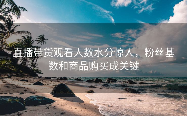直播带货观看人数水分惊人，粉丝基数和商品购买成关键