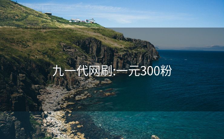 九一代网刷:一元300粉