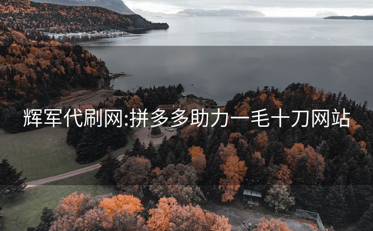 辉军代刷网:拼多多助力一毛十刀网站
