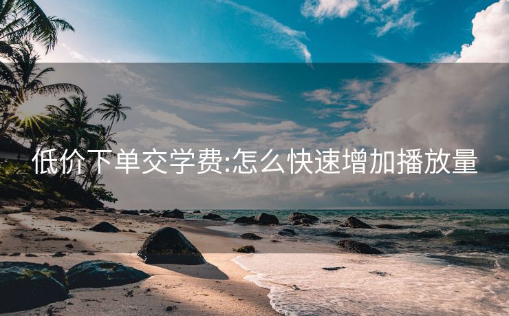 低价下单交学费:怎么快速增加播放量