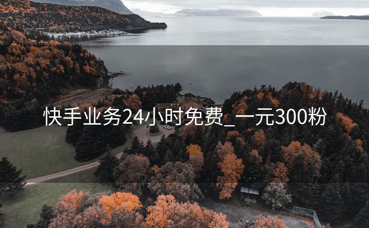 快手业务24小时免费_一元300粉
