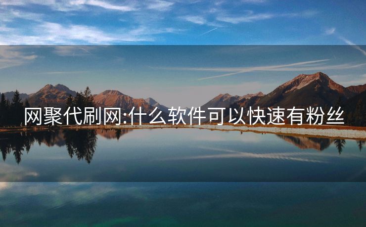 网聚代刷网:什么软件可以快速有粉丝