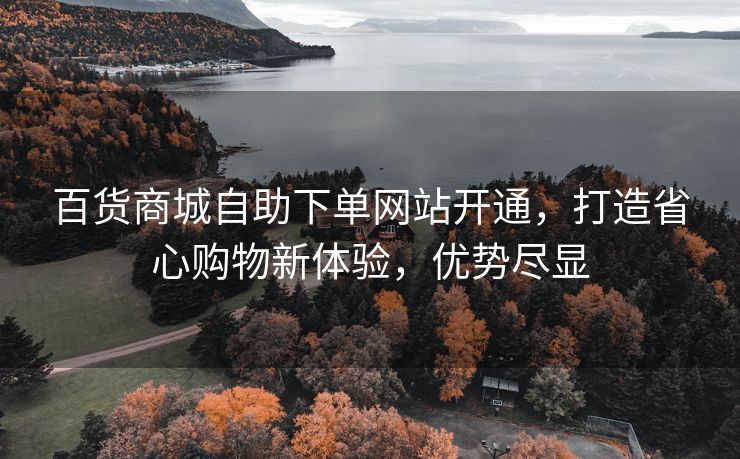 百货商城自助下单网站开通，打造省心购物新体验，优势尽显