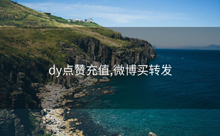 dy点赞充值,微博买转发