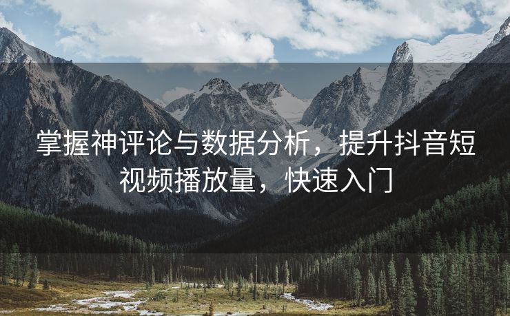 掌握神评论与数据分析，提升抖音短视频播放量，快速入门