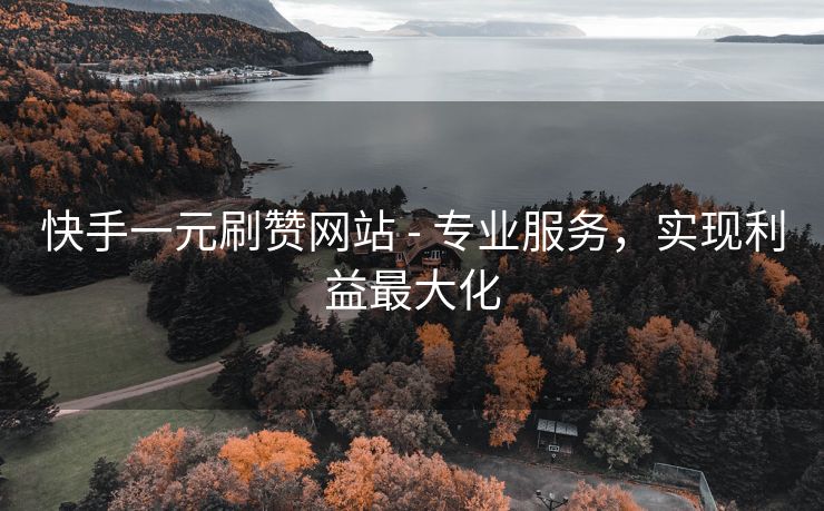 快手一元刷赞网站 - 专业服务，实现利益最大化