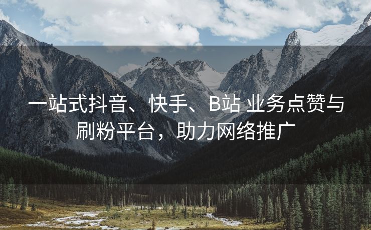 一站式抖音、快手、B站 业务点赞与刷粉平台，助力网络推广