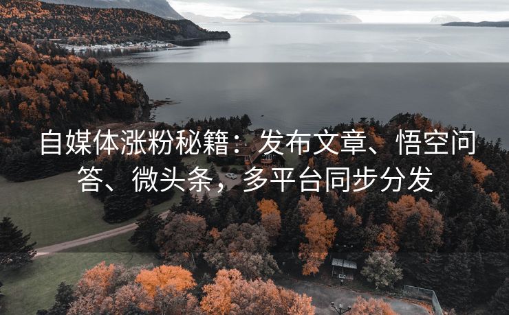 自媒体涨粉秘籍：发布文章、悟空问答、微头条，多平台同步分发