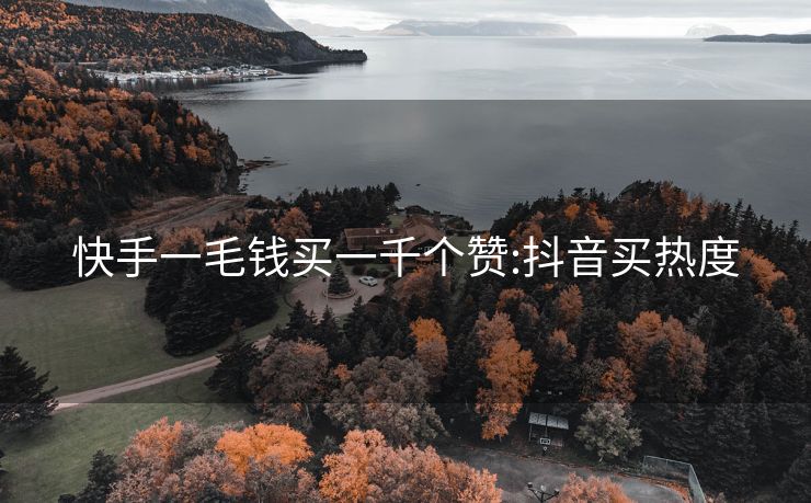 快手一毛钱买一千个赞:抖音买热度