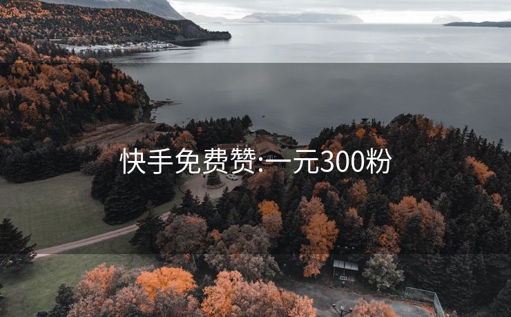 快手免费赞:一元300粉