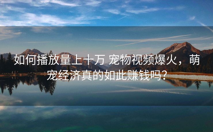 如何播放量上十万 宠物视频爆火，萌宠经济真的如此赚钱吗？