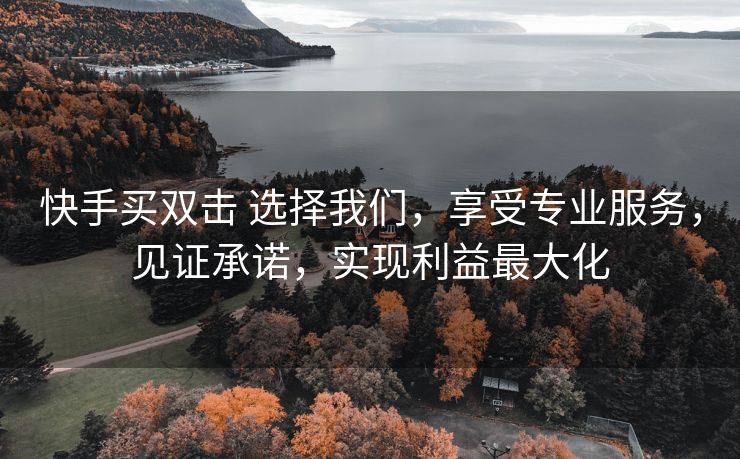 快手买双击 选择我们，享受专业服务，见证承诺，实现利益最大化