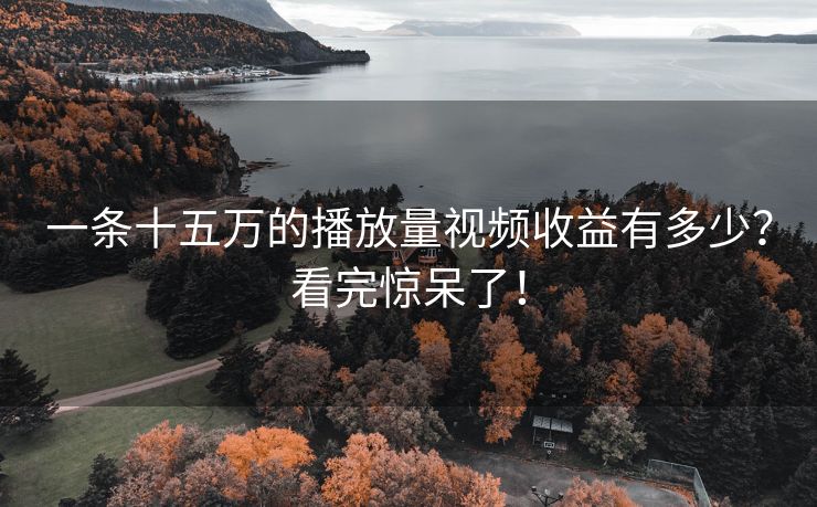一条十五万的播放量视频收益有多少？看完惊呆了！