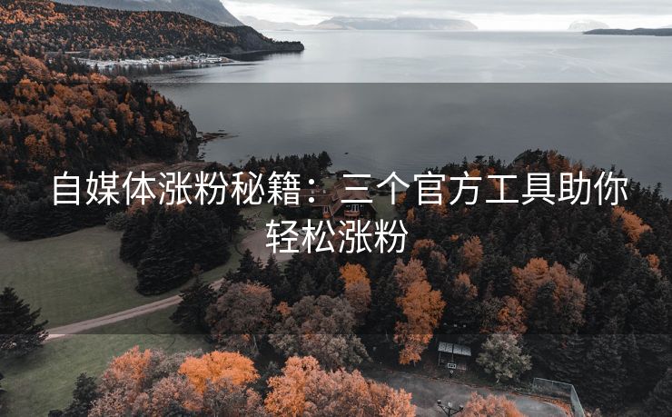 自媒体涨粉秘籍：三个官方工具助你轻松涨粉