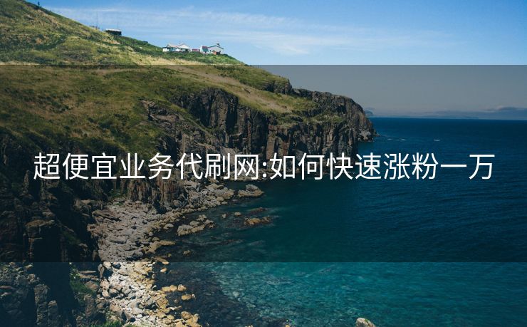 超便宜业务代刷网:如何快速涨粉一万