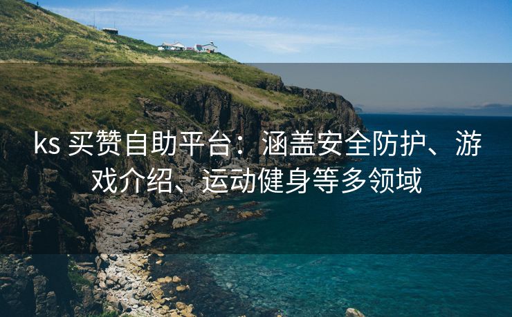 ks 买赞自助平台：涵盖安全防护、游戏介绍、运动健身等多领域