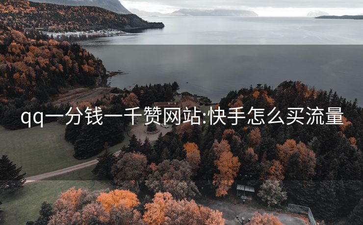 qq一分钱一千赞网站:快手怎么买流量