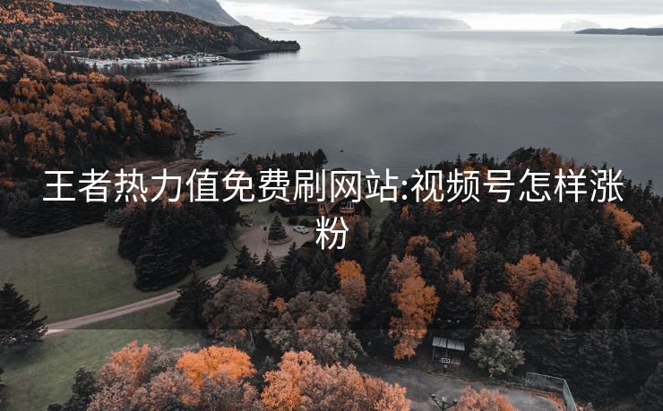 王者热力值免费刷网站:视频号怎样涨粉