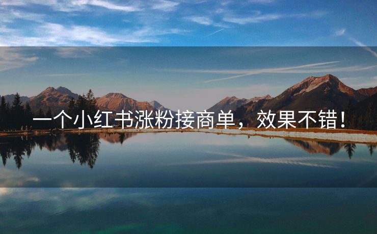一个小红书涨粉接商单，效果不错！
