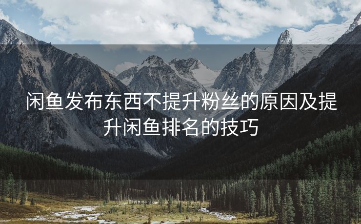 闲鱼发布东西不提升粉丝的原因及提升闲鱼排名的技巧