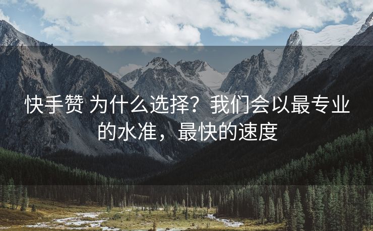 快手赞 为什么选择？我们会以最专业的水准，最快的速度
