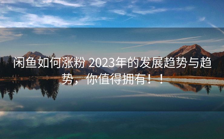 闲鱼如何涨粉 2023年的发展趋势与趋势，你值得拥有！！