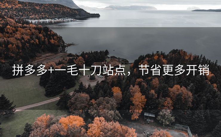 拼多多+一毛十刀站点，节省更多开销