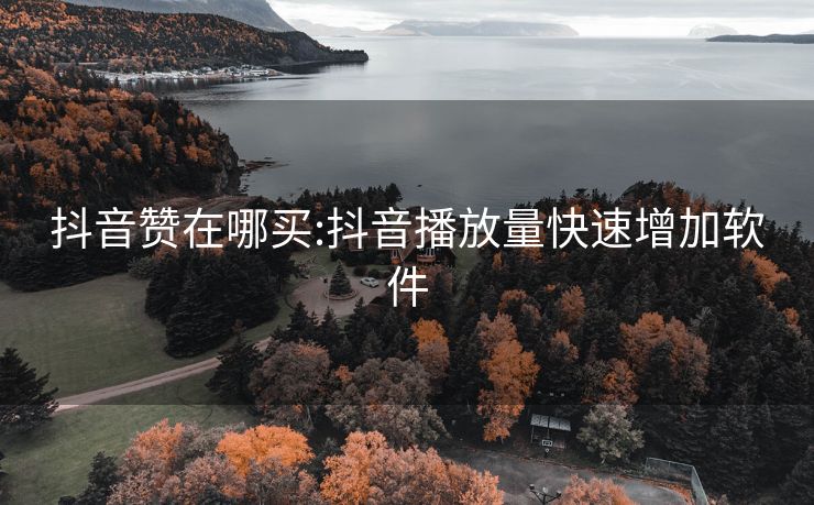 抖音赞在哪买:抖音播放量快速增加软件