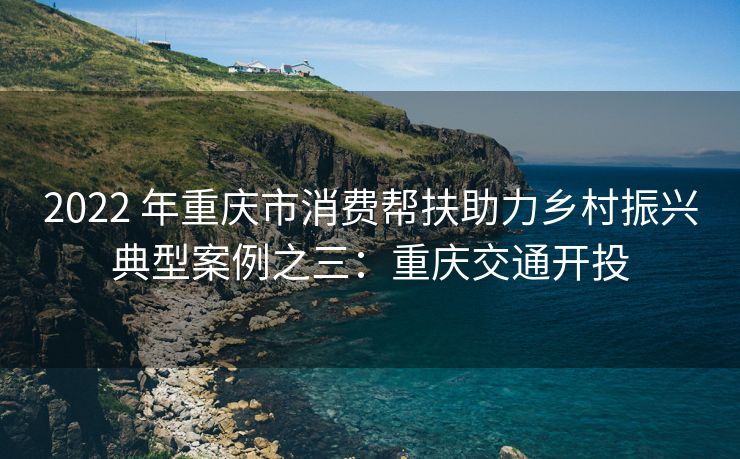 2022 年重庆市消费帮扶助力乡村振兴典型案例之三：重庆交通开投